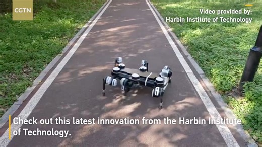 China's Harbin Institute of Technology has unveiled a cutting-edge multi-legged robot combining agility and strength, designed for outdoor mobility and heavy-load transport. Shaped like an electric spider, the robot is suited for high-stakes tasks such as disaster relief and planetary exploration, offering exceptional stability and load-bearing capacity. Equipped with advanced sensing, mapping, control and decision-making systems, it can autonomously operate in complex environments, showcasing t
