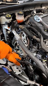 ford focus in for a timing belt 🦾 #ford #fordfocus #focus #fiesta #timingbelt #timingchain #wetbelt | The Car Edition Ltd