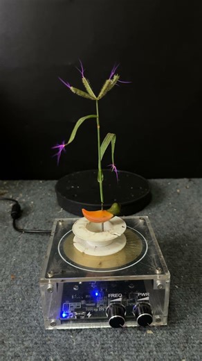 Tesla coil testing #experiment #teslacoil #shorts