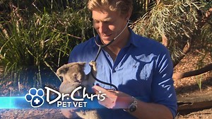 CBS Dream Team Block :30 - Fall 2018