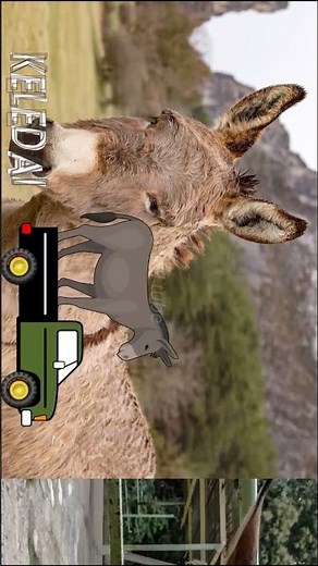 Get to know the names and sounds of cute animals, donkeys, arealtube #animalsounds #children'sedu...