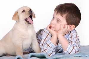 Canine Culture: Puppy Development