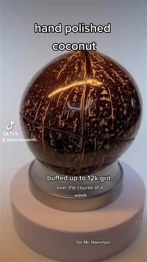 the final result! thanks to everyone who helped make this possible! @mrhamilton @hankgreen1 #n3 #polishedcoconut2021 #bustanut #polishednut #letsgo