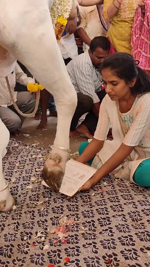 Traditional Ceremony Celebrating the Sacred White Cow