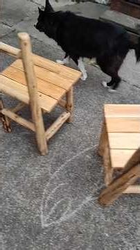 Update, homemade chairs, garden teardown, pool filter sand, fish tank #series #subscribe #fish #fypシ