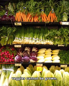 196K views · 3.7K reactions | Visiting America's Most Remote Town (24 Hours of Darkness) | Drew Binsky | Facebook