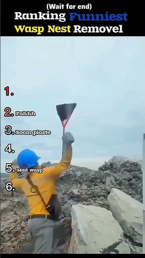Ranking Crazy WASP Nest Removals! 😭😭Part3