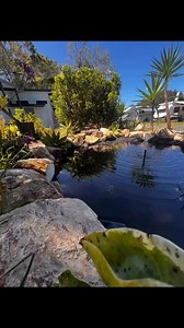 Diamond Beach Holiday Park on Reels