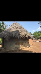1.3K views · 50 reactions | Pictures from Lor village in the Bo district of Sierra Leone. African mud huts are a masterclass in sustainable design. Made from earth, water, and straw, they regulate temperature naturally—staying cool in the heat and warm in the cold, all without electricity. Ancient brilliance, still relevant today. #village #SierraLeone #africa #salonetidaygist #AfricanIngenuity #MudHutWisdom #SustainableDesign #TraditionalArchitecture | Salone Tiday Gist | Facebook
