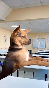 Which subject 💤 | Medical Addicts