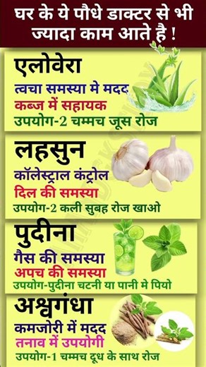 घर के ये 5 पौधे डॉक्टर से भी ज्यादा काम आते हैं| Ayurvedic Plants Health Benefits |HomeRemedies