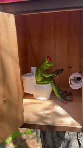 🐸👀 The sign says “occupied”… but go ahead and take a look 👀🐸 #geo #shorts
