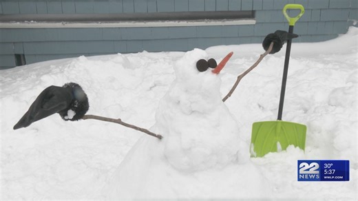 Heavy snowfall gives local children chance to build snowmen