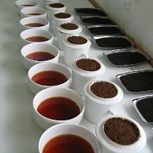 Coffee cupping