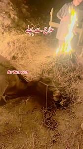 Cow treatment #fbreelsfypシ゚viralvideo #fbreelsfypシ゚viralシ #fypシ゚viralシfypシ゚ #followersreelsfypシ゚viralシfypシ゚viralシal #fypシ゚viralシfyp #followersreelsfypシ゚viralシfypシ゚viralシalシ #viralpost2025 #viralreelsfacebook #viralreelsシ #dairy | Vet Doctor Naveed