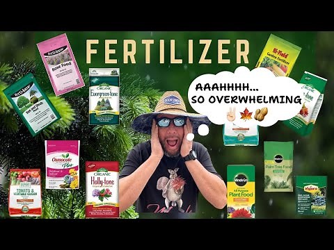 Select The Perfect Fertilizer For Your Japanese Maples And Conifers