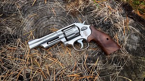 AllOutdoor Review: Smith & Wesson Model 617 Mountain Gun
