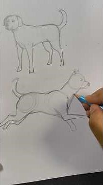How to sketch a Dog Running #ceed #drawing #nid #art #artdrawing #easydrawing