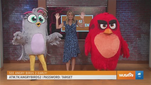 Angry Birds invade the studio with a special offer!