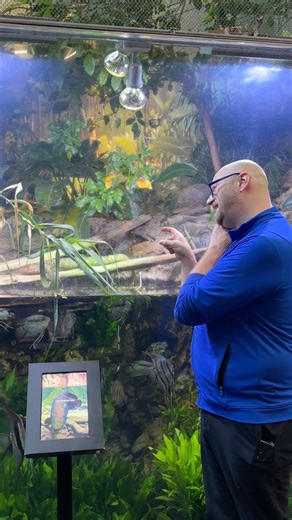 Just a peek behind-the-scenes as we say farewell to 2025!📸 When you combine the behaviors of over 32,000 animals with a camera lens, you get plenty of moments you don't expect — and our camera roll is all the better for it. We can’t wait for all the milestones, new discoveries and belly laughs to come in the new year. See you in 2026!🩵 #SheddAquarium #newyear #Bloopers | Shedd Aquarium