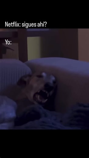 Memes Graciosos: La Comedia que No Te Puedes Perder