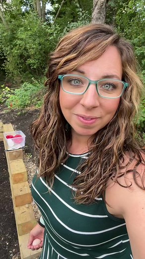 The Chicken Egg Song Explained