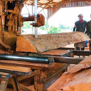 Cutting Thick Tree Logs Using a Band Saw | Crafty School