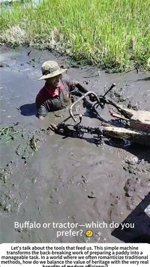 The Mud Churner: Plowing a Paddy with a Power Tiller 🌾