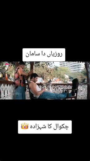 Chakwal Prince: Humorous Punjabi Dubbing Moments