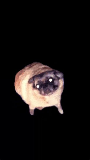 You are a pug #minecraft