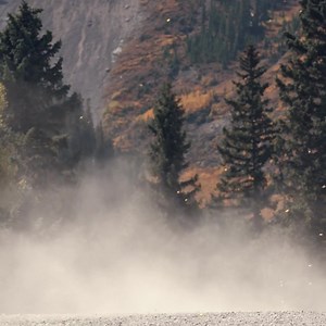 14K views · 254 reactions | The Triumph Tiger 1200, a true benchmark in the large capacity adventure world. Exceptional handling, performance, capability and comfort, tailored to deliver an unmatched rider experience across road and dirt. Book a test ride today. | Triumph Motorcycles | Facebook