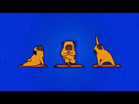 MÚSICA PARA ACALMAR E RELAXAR CÃES AGITADOS, MEDROSOS, ANSIOSOS (Musicoterapia e Cromoterapia)