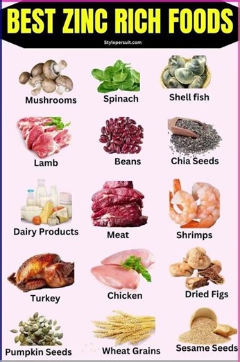 Top Zinc-Rich Foods You Should Be Eating Daily