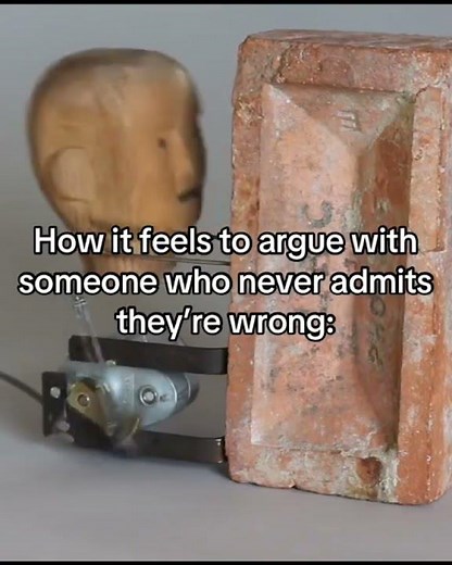 Arguing With “Never Wrong”… Like Banging Your Head Off A Wall 😂