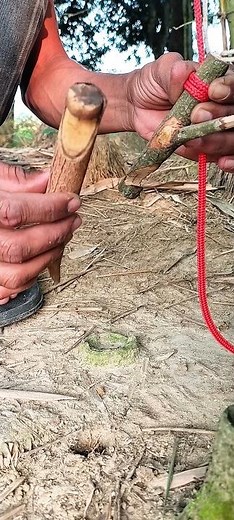 Simple trap made from tree branches with banana bait #trap