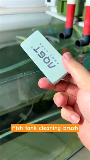 How to remove limescale from a fish tank #fishkeepingdiary #fishaquarium #fishkeepinghobby