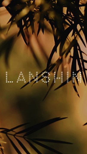 In TCM, wrinkles hold the deeper story of our lives. They show us how we’ve thrived, how we’ve suffered, and how we can evolve and grow. But, we’re often encouraged to erase them. Before you do that, consider listening to your lines. Commonly despised lines like the 11’s, lip and forehead lines, etc., might be revealing that you have unprocessed emotions like anger, frustration, chronic dissatisfaction. And if that’s true, your lines can guide you to seek deeper healing. As you let go of past tr