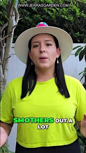 Spray Fruit Trees With Horticultural Oil To Supress Pest/Disease