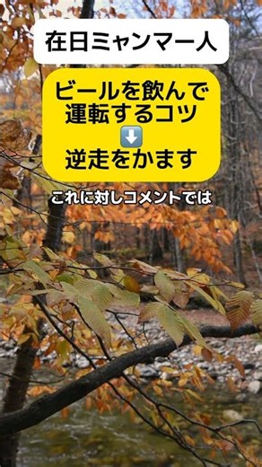 [Driving the wrong way] A Myanmar resident in Japan shares "tips for driving after drinking beer."