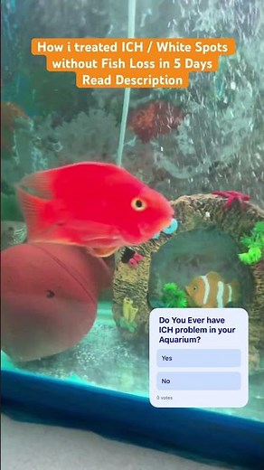 How I Treated White Spot (Ich) Disease in My Aquarium Without Losing Any Fish 🐠 #aquatech #aquahub