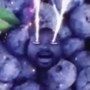 Don pollo blueberry meme