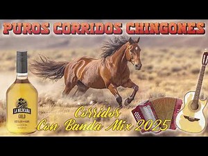 Puros Corridos Chingones Mix 🔥 Corridos con Banda | Éxitos Viejitos