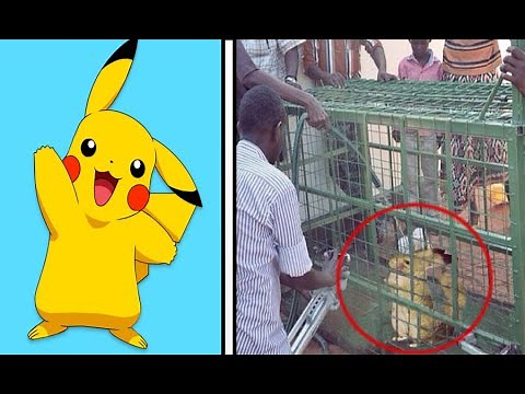 7 PIKACHU REALES CAPTADOS Y VISTOS EN LA VIDA REAL😱