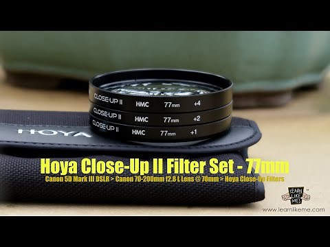 Hoya Close-Up II HMC Filter Set Samples - Canon 5DIII DSLR, 70-200mm Lens, Dioptre, Macro Filters