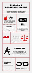 Indonesia Basketball League Salaries: IBL Salaries, Player/Team Salary Cap & More (Full Breakdown) — Jose Colorado