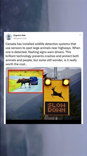 Canada has installed wildlife detection systems that use sensors to spot large animals near highways