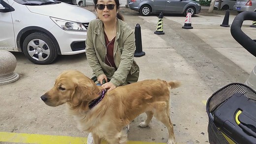 宠物医生手把手教你给狗打针（肌肉注射全过程）