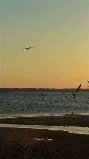Udaarian Song ❤️‍🩹 ( 2018 ) #song #status #love #popularsong #viral #hindisong #yt #satindersartaaj