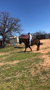 21K views · 558 reactions | #mules #beauty Beautiful mules, Mule's Ride Hutto Mule and Farming | Hutto Mule and Farming | Facebook
