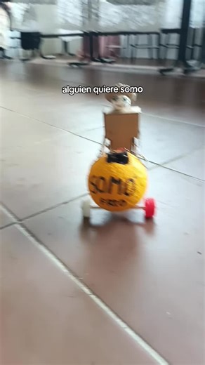 Somo Robot: Haz tu propio vendedor robot